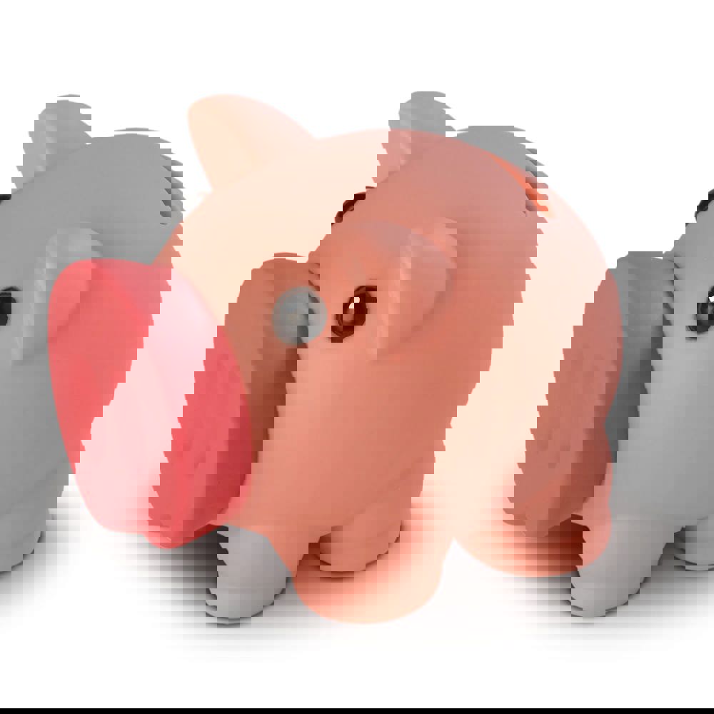 Kleines Sparschwein - rosa