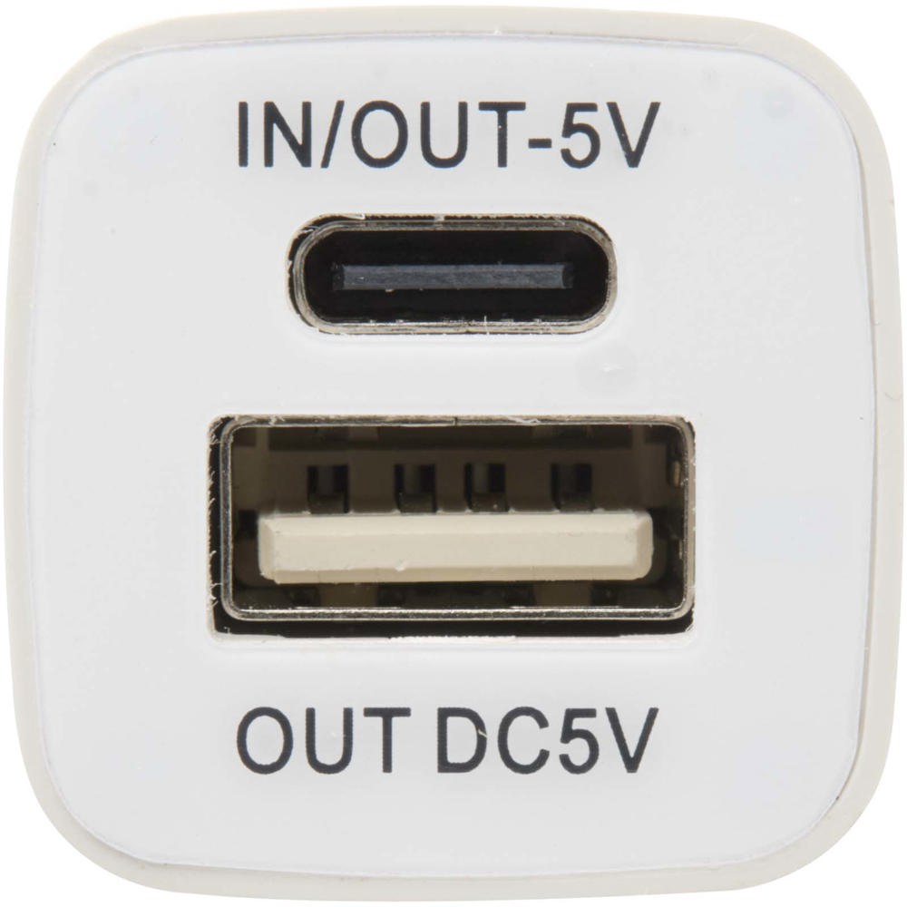 WS102 2200/2600 mAh Powerbank