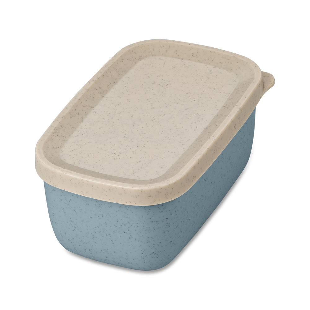 CANDY S - nature flower blue