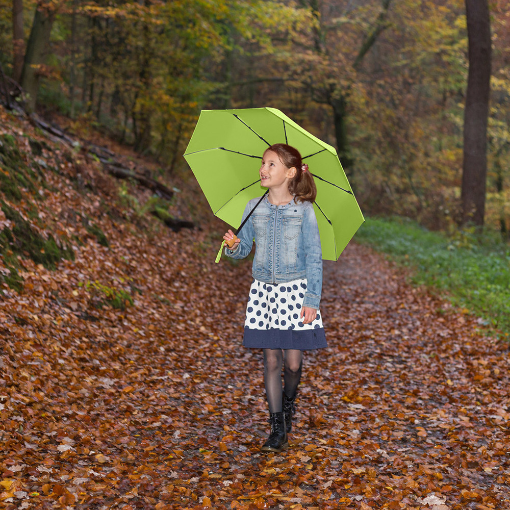 5029 Taschenschirm ÖkoBrella