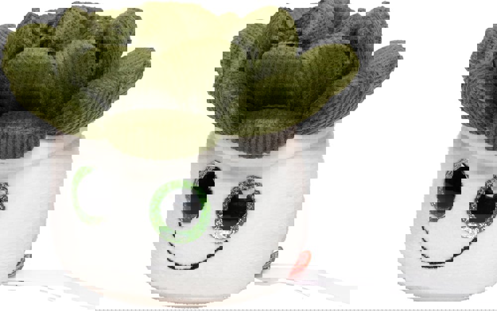 Schmoozies® Evergreenies® Sukkulente, multicolour, one size