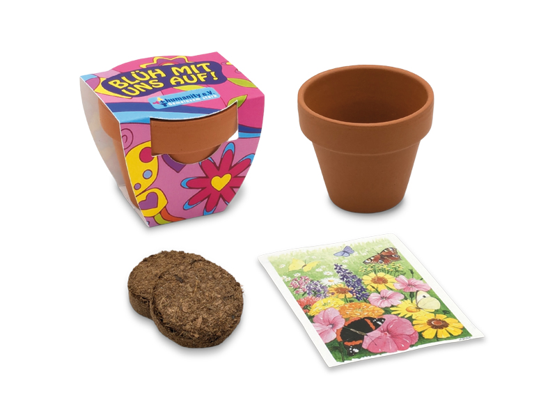 Terracotta Pflanztöpfchen