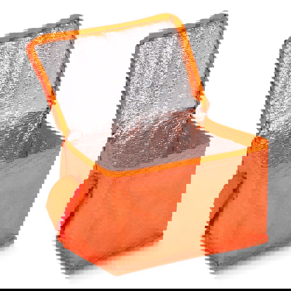 R-PET 6 Dosen-Kühltasche Non Woven 20x 13 x 12,5cm 75g/m²