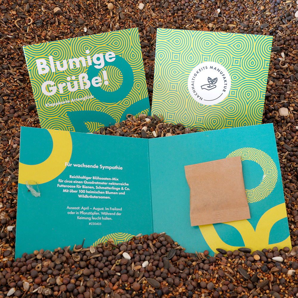 Samen Klappkarte Square – Suri