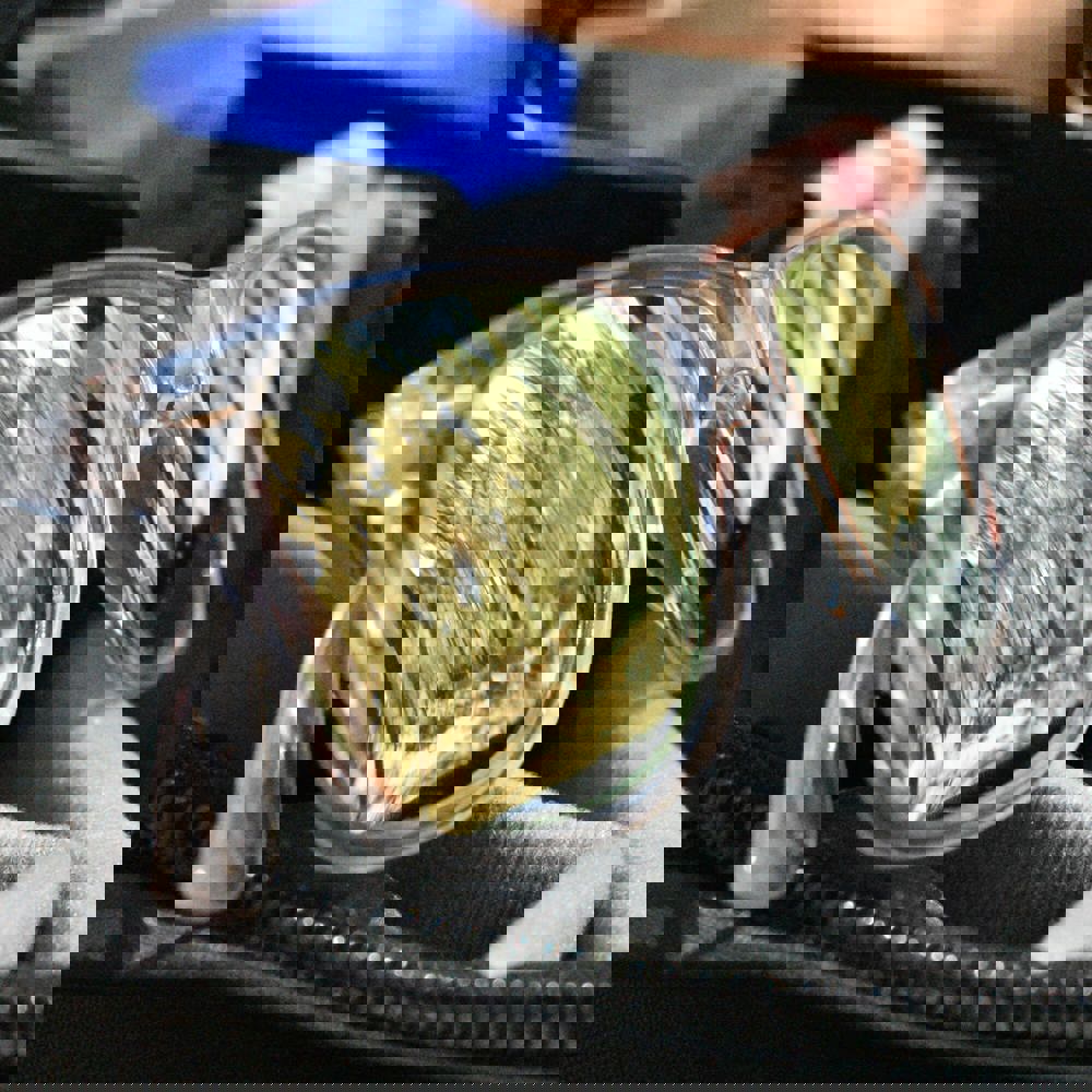 Sonnenbrille Bradley transparent UV400