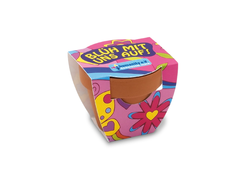 Terracotta Pflanztöpfchen