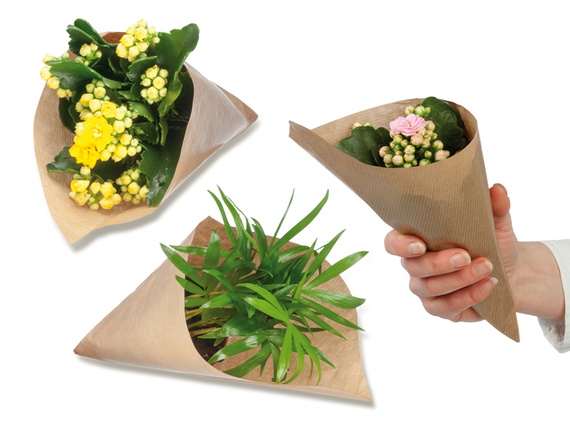 Blumengrüße aus der Mini-Tüte (ohne Werbedruck)
