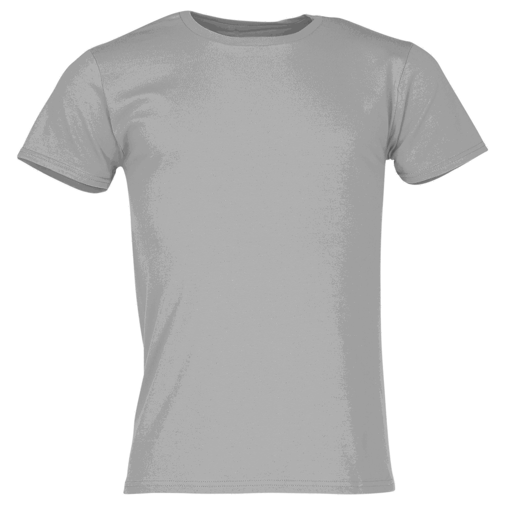 614300 - Iconic 150 T-Shirt - zink
