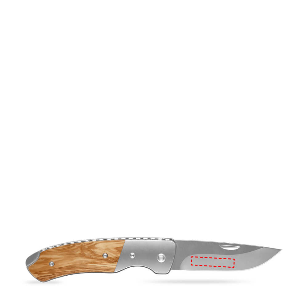 RICHARTZ® LEO 200 olive