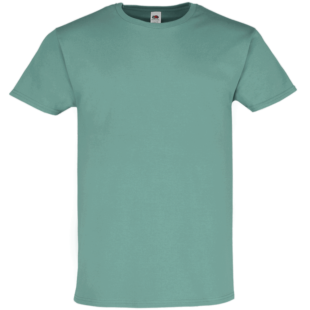 614220 - Iconic 195 T-Shirt (vorher: Ringspun Premium T-Shirt) - sage