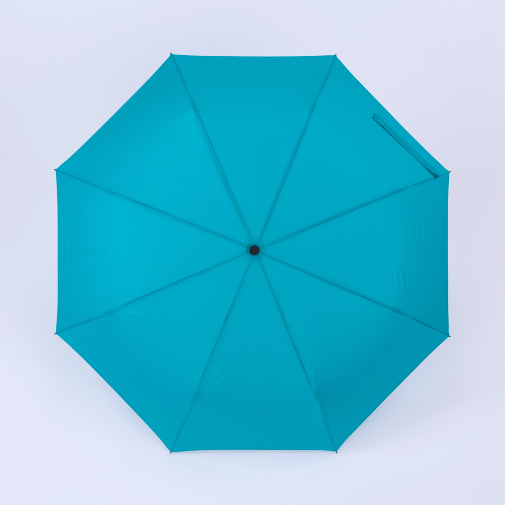 Cambridge Regenschirm mit DAS-funktion