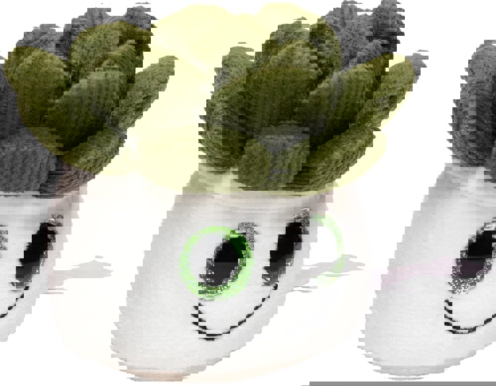 Schmoozies® Evergreenies® Sukkulente, multicolour, one size