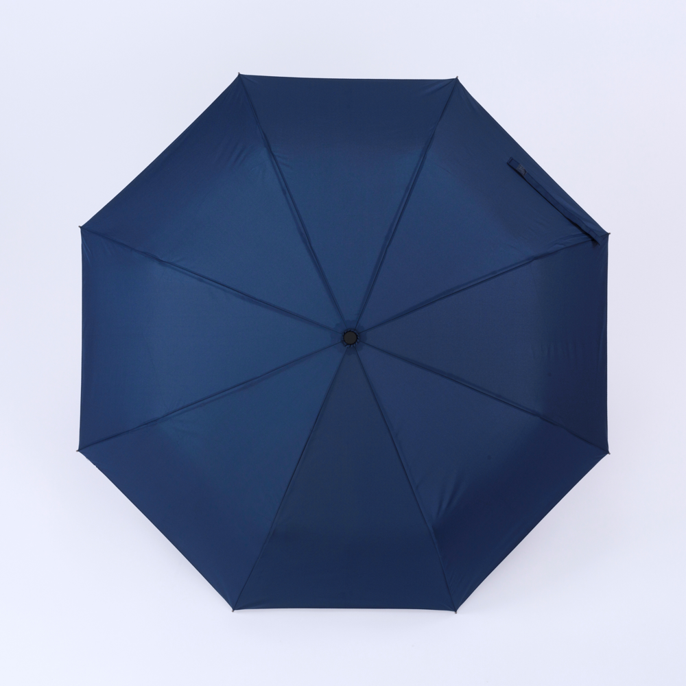 Cambridge Regenschirm mit DAS-funktion