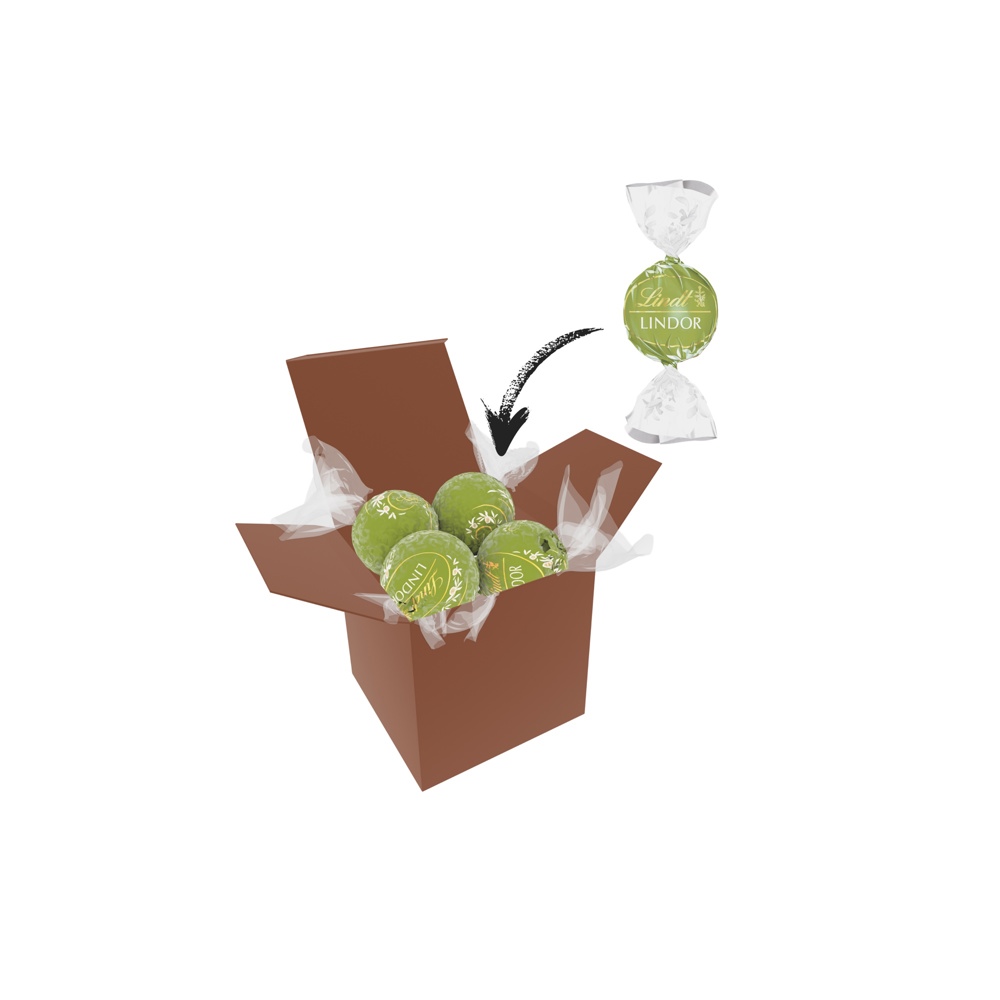 Color Lindor Box - Braun - Grün