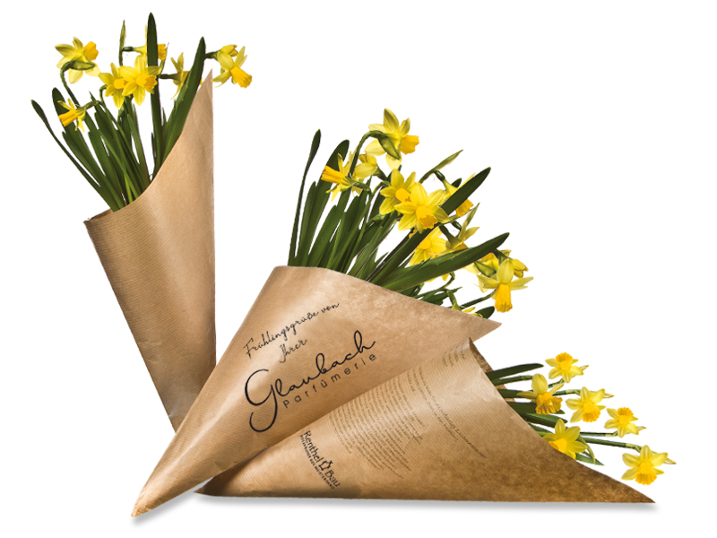 Wundertüte - Narzisse (mit Werbedruck)