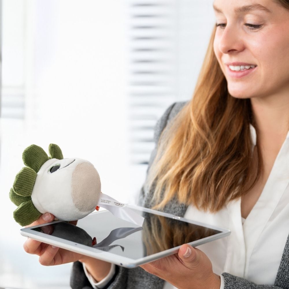 Schmoozies® Evergreenies® Sukkulente, multicolour, one size