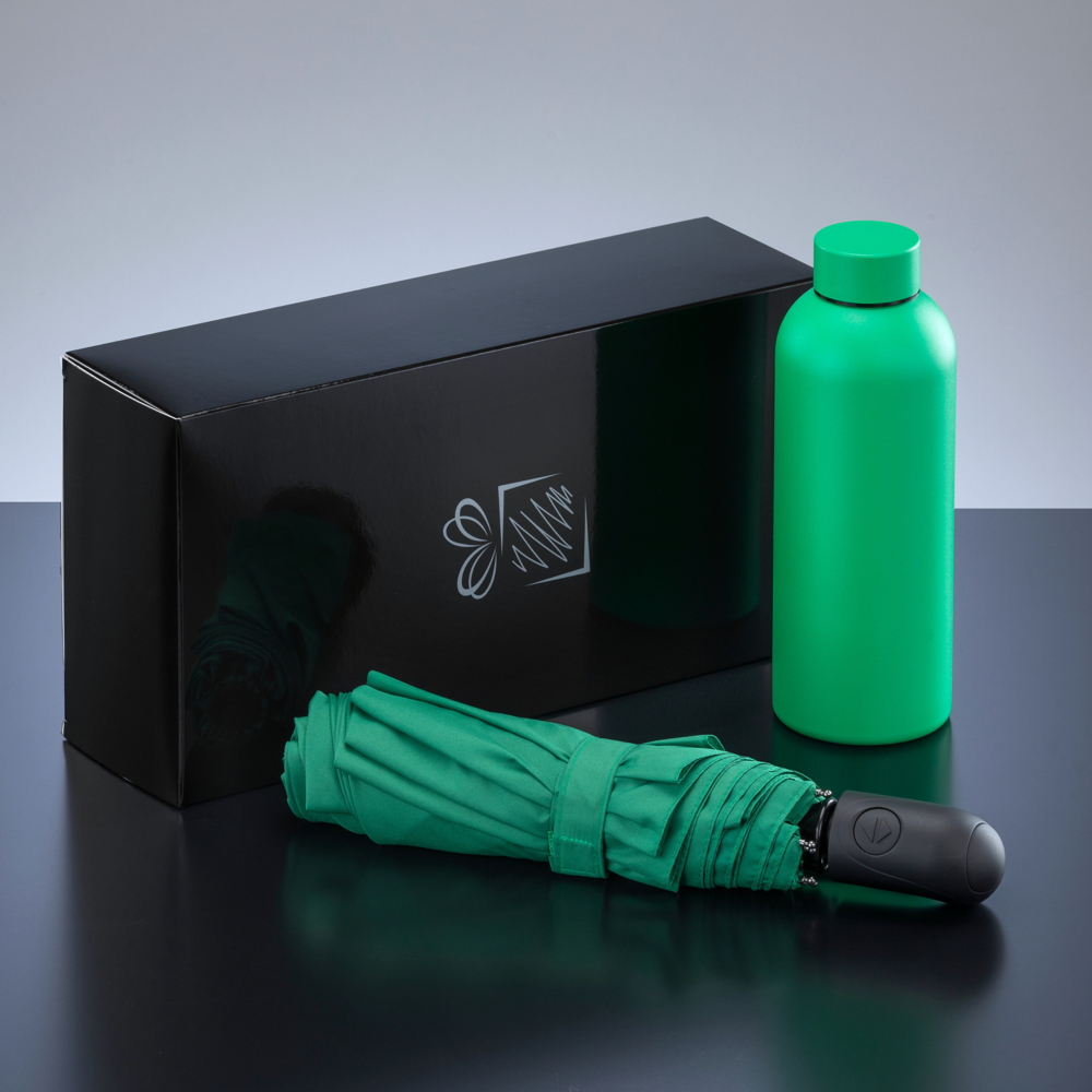 Active Set: Thermosflasche 500 ml & Automatikschirm - Hellgrün