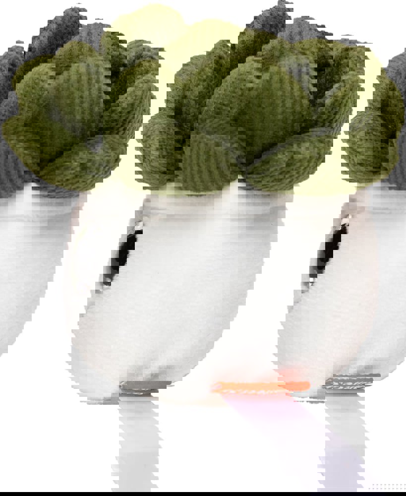 Schmoozies® Evergreenies® Sukkulente, multicolour, one size