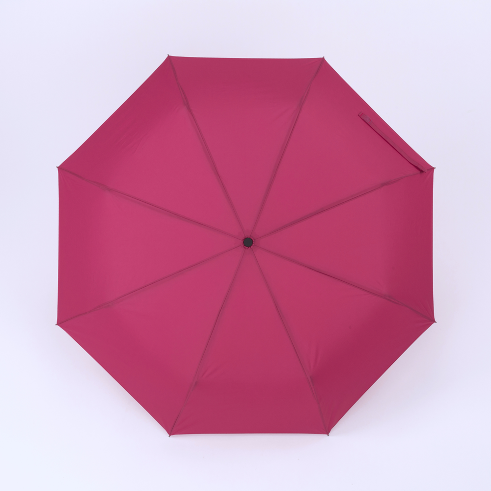 Cambridge Regenschirm mit DAS-funktion