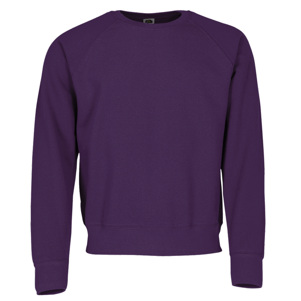 622160 - Classic Raglan Sweat - Purple