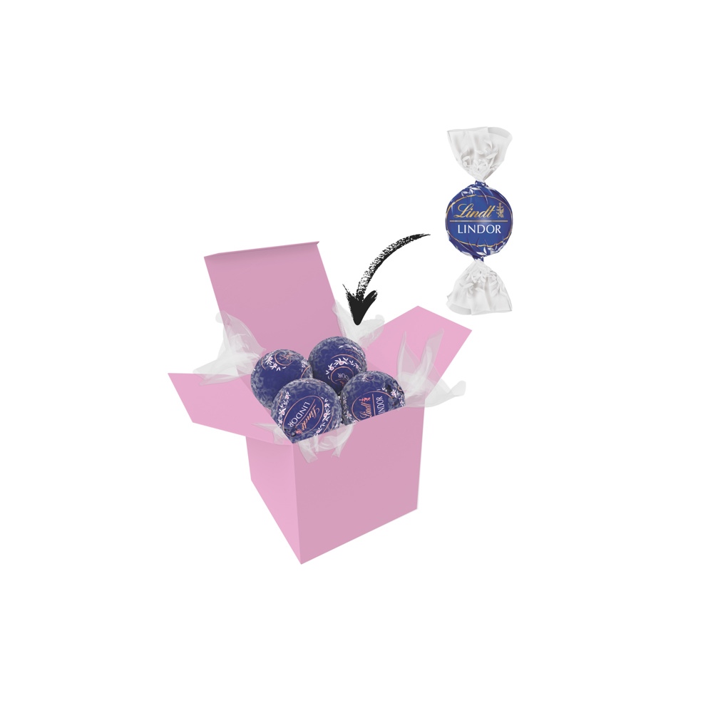 Color Lindor Box - Rosa - Blau