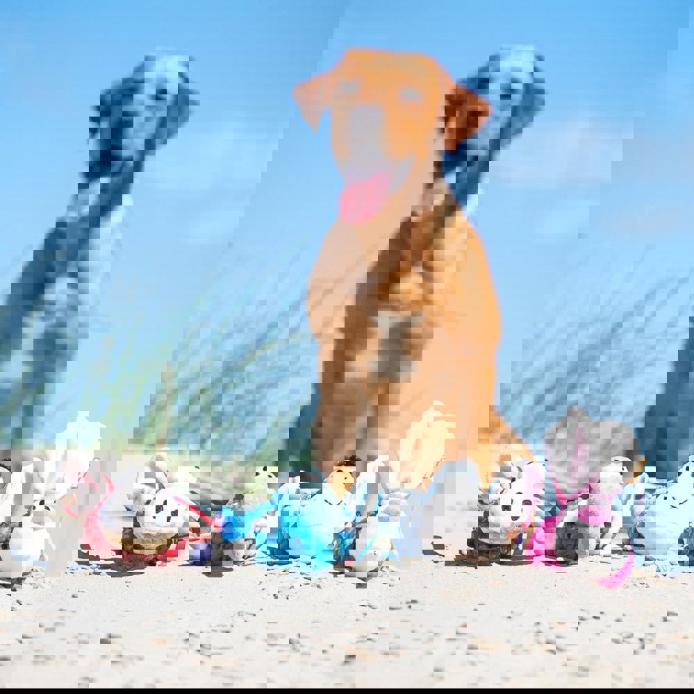 Hundespielzeug Knotentier Hase, pink, one size